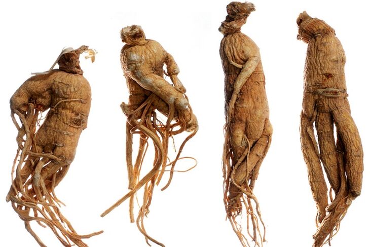 ρίζα ginseng για μεγέθυνση πέους